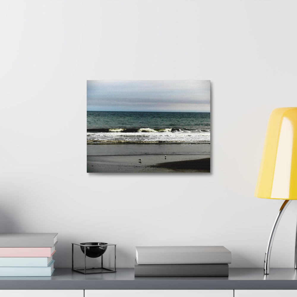 Gulls On The Shore — Stretched Canvas