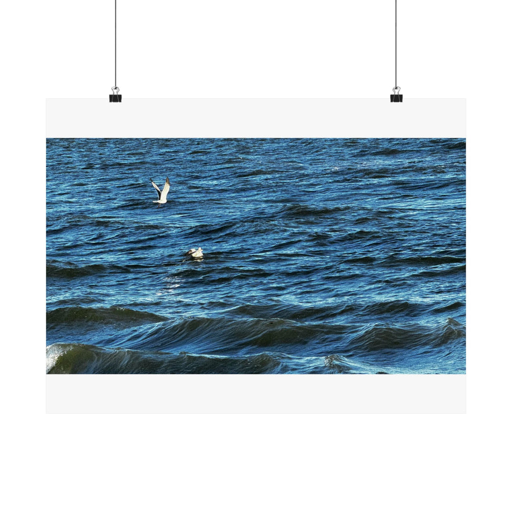 Gulls Over Blue Water — Matte Poster