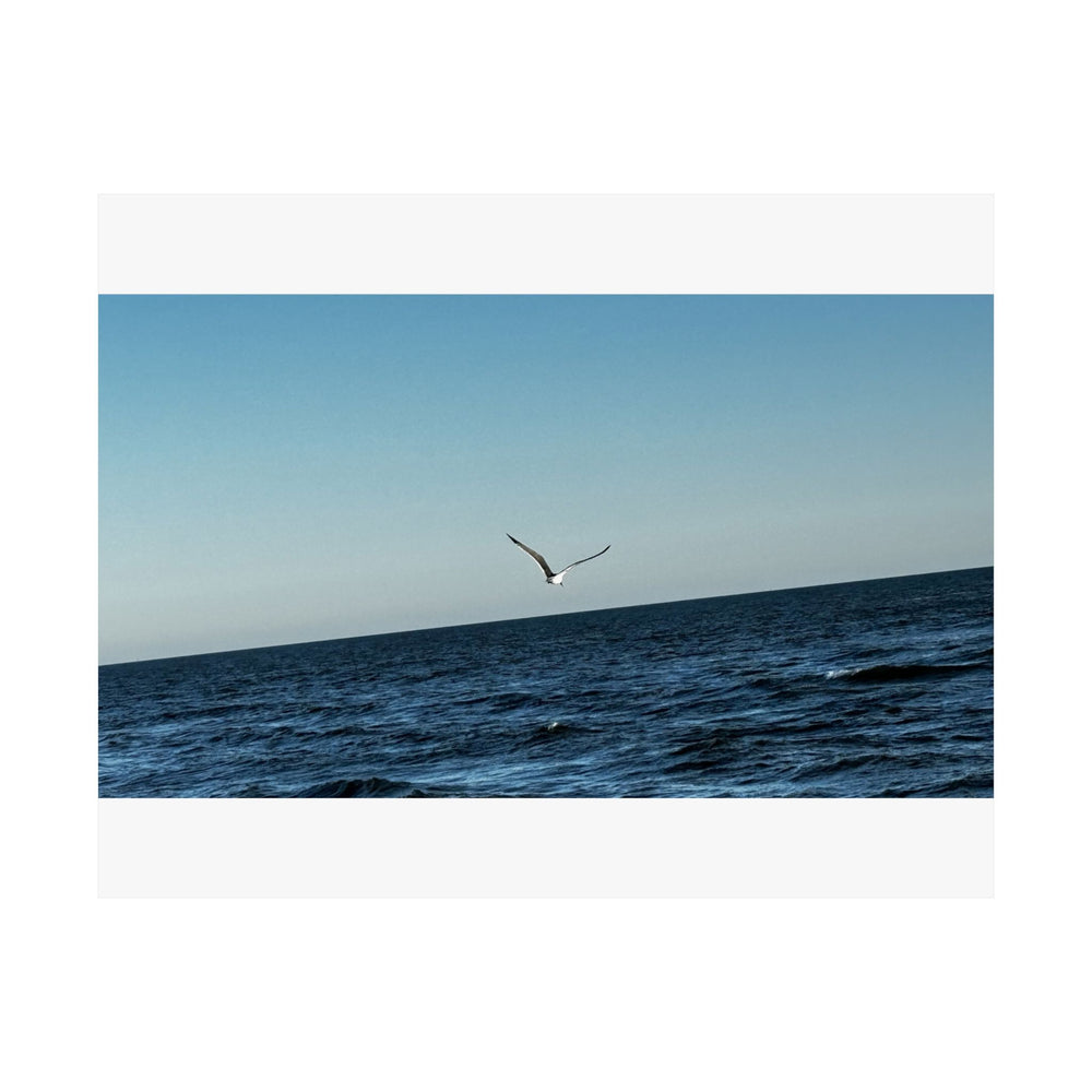 Lone Gull Soaring — Matte Poster