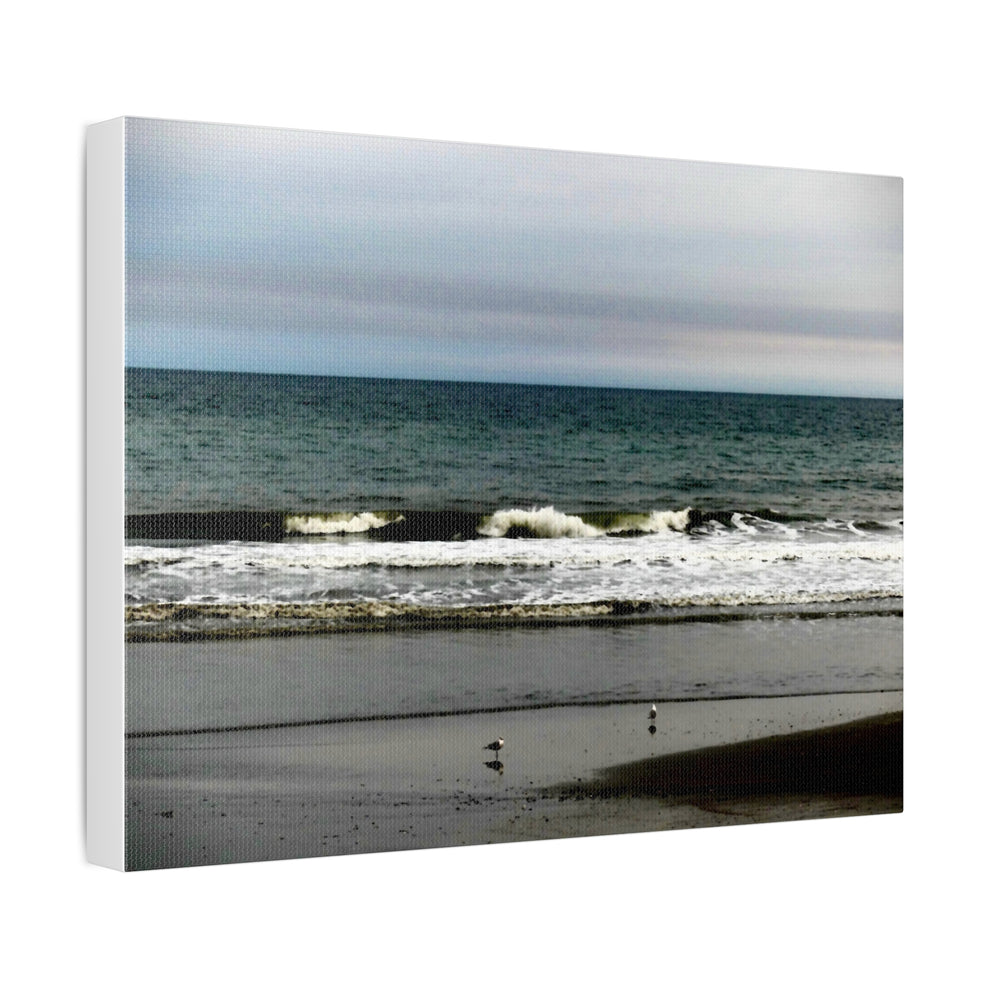 Gulls On The Shore — Stretched Canvas