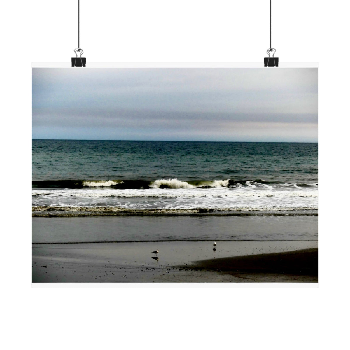 Gulls On The Shore — Matte Poster