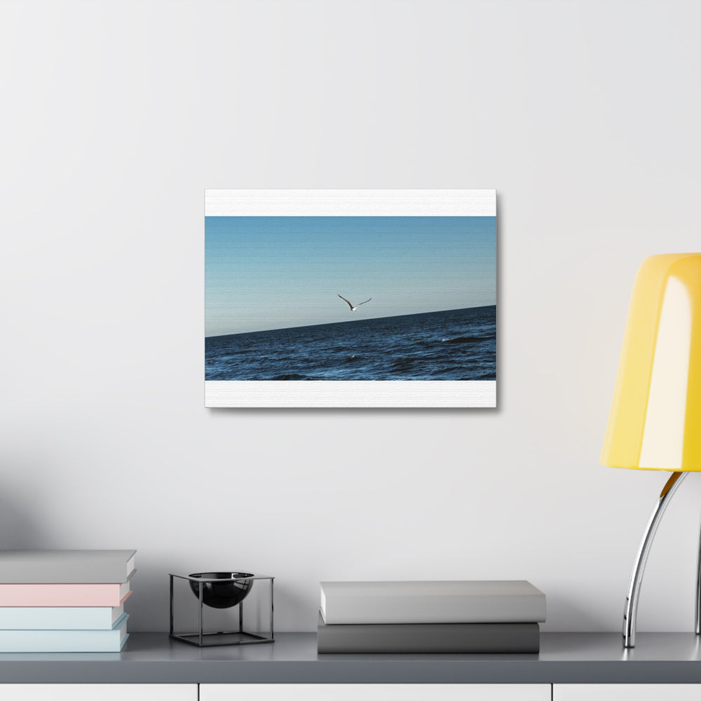 Lone Gull Soaring — Stretched Canvas
