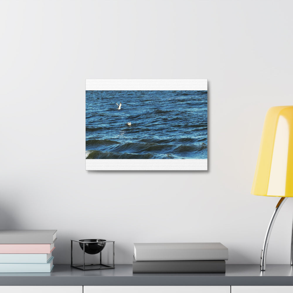 Gulls Over Blue Water — Stretched Canvas