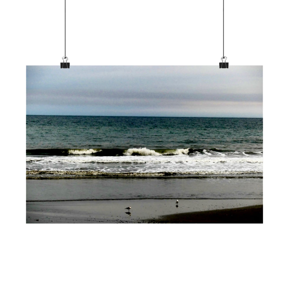 Gulls On The Shore — Matte Poster