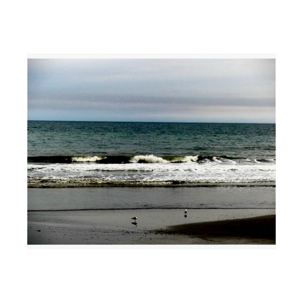 Gulls On The Shore — Matte Poster