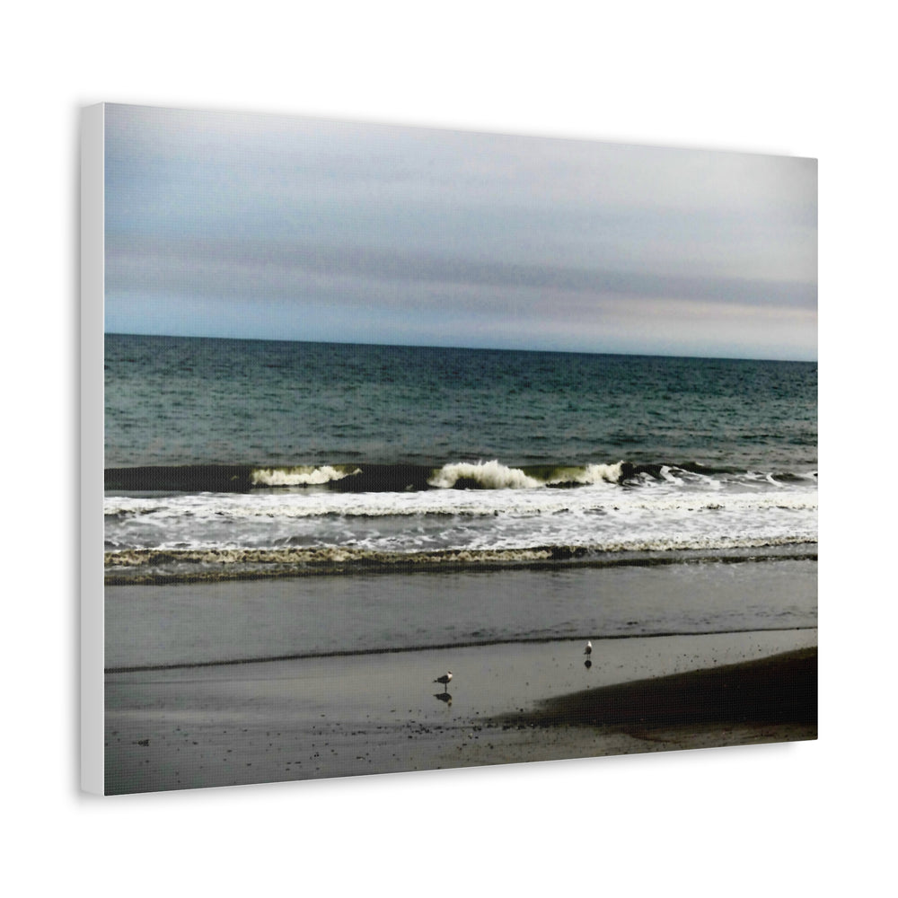 Gulls On The Shore — Stretched Canvas