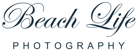 Beach Life Photography